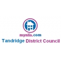 Tandridge LLC1 and Con29 Search